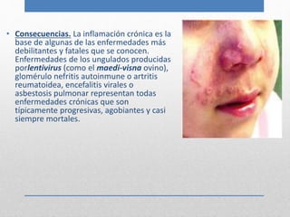 • Consecuencias. La inflamación crónica es la 
base de algunas de las enfermedades más 
debilitantes y fatales que se conocen. 
Enfermedades de los ungulados producidas 
porlentivirus (como el maedi-visna ovino), 
glomérulo nefritis autoinmune o artritis 
reumatoidea, encefalitis virales o 
asbestosis pulmonar representan todas 
enfermedades crónicas que son 
típicamente progresivas, agobiantes y casi 
siempre mortales. 
 