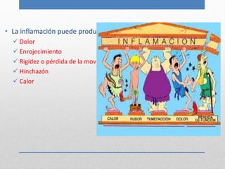• La inflamación puede producir: 
 Dolor 
 Enrojecimiento 
 Rigidez o pérdida de la movilidad 
 Hinchazón 
 Calor 
 