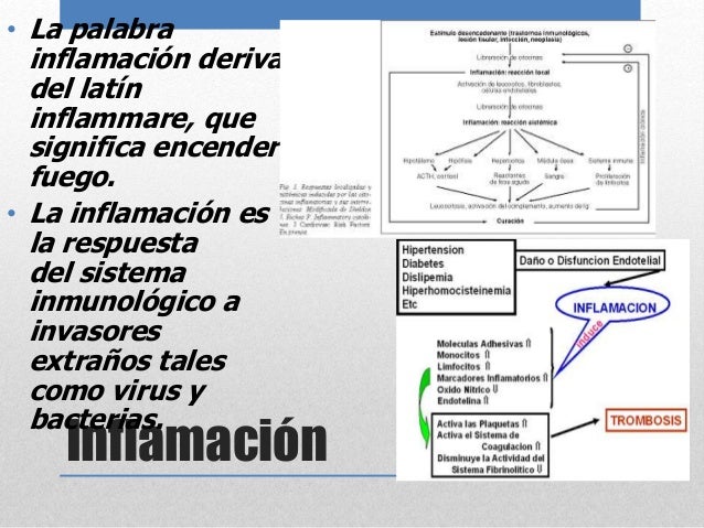 Mapa mental de inflamación causada por bacterias