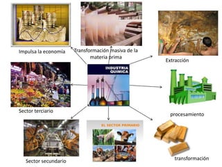 Transformación masiva de la
materia prima
Extracción
procesamiento
transformaciónSector secundario
Sector terciario
Impulsa la economía
 