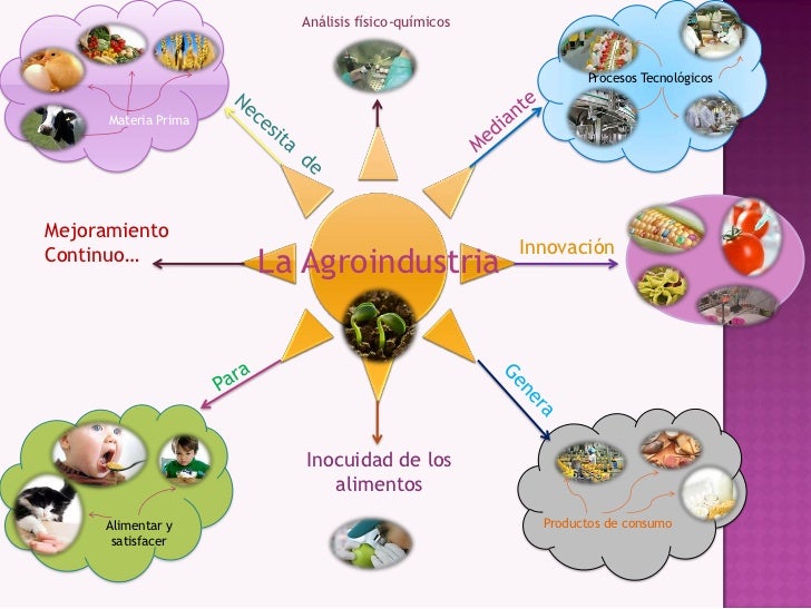 Mapa mental de las tic’s en la agroindustria
