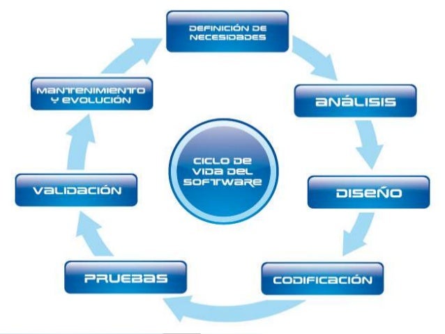 Mapa mental del ciclo de la vida
