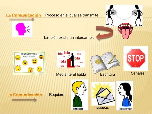 Mapa mental donde se resalte o explique todo el proceso de