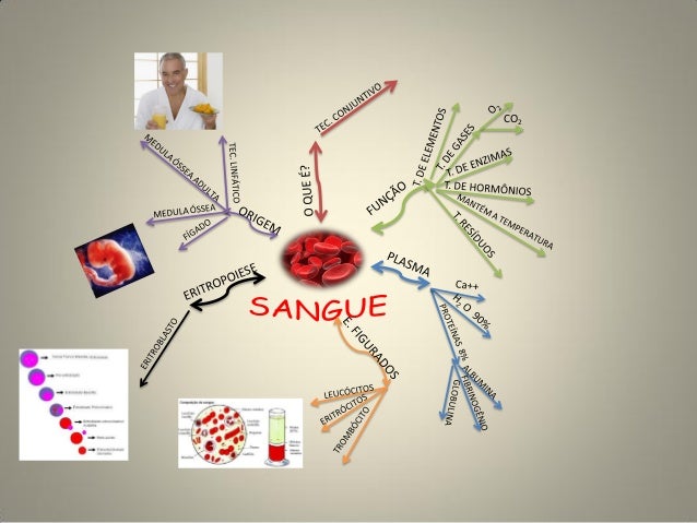 Mapa mental do sangue Mapa mental do sangue