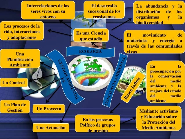 Resultado de imagen para mapa conceptual de gestion social