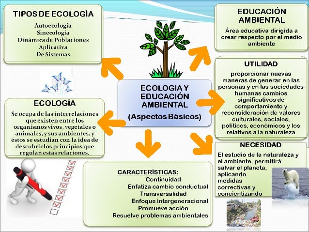 MAPA MENTAL ECOLOGIA Y EDUCACION AMBIENTAL