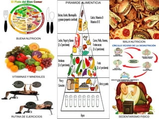 PIRAMIDE ALIMENTICIA 
BUENA NUTRICION 
VITAMINAS Y MINERALES 
MALA NUTRICION 
SEDENTARISMO FISICO 
RUTINA DE EJERCICIOS 
