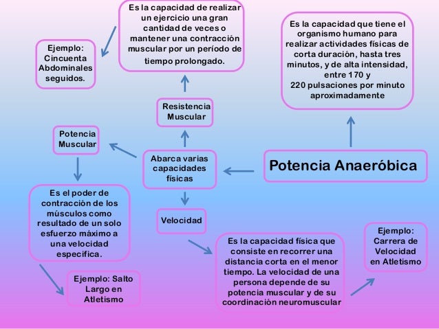 Mapa mental saia edc fisica