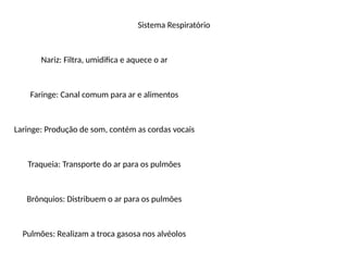 Sistema Respiratório
Nariz: Filtra, umidifica e aquece o ar
Faringe: Canal comum para ar e alimentos
Laringe: Produção de som, contém as cordas vocais
Traqueia: Transporte do ar para os pulmões
Brônquios: Distribuem o ar para os pulmões
Pulmões: Realizam a troca gasosa nos alvéolos
 