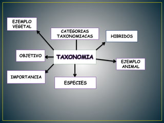TAXONOMIA
CATEGORIAS
TAXONOMIACAS
OBJETIVO
ESPECIES
HIBRIDOS
IMPORTANCIA
EJEMPLO
VEGETAL
EJEMPLO
ANIMAL
 
