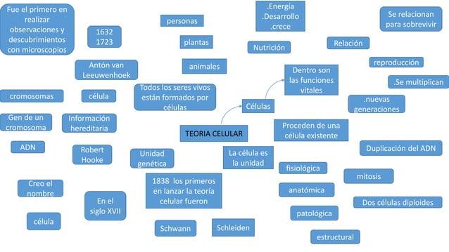 mapa mental teoria celular (2)
