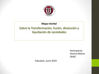 Mapa mental
Sobre la Transformación, fusión, disolución y
liquidación de sociedades
Cabudare, Junio 2019
Participante:
Oraima Molina
SAIAC
 