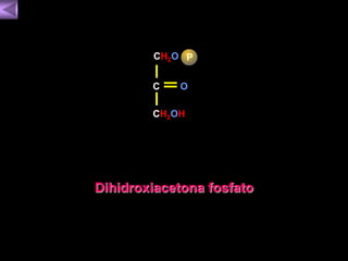 CH2O P 
C 
O 
CH2OH 
Dihidroxiacetona fosfato 
 