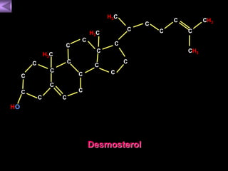 Desmosterol 
C 
C 
C 
C 
C 
C 
C 
C 
C 
C 
C 
H3C 
C 
C 
C 
C 
C 
C 
C 
C 
H3C 
C 
C C 
CH3 
CH3 
HO 
H3C 
 