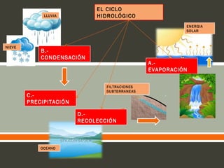  
EL CICLO
HIDROLÓGICO
ENERGIA
SOLAR
OCEANO
LLUVIA
NIEVE
FILTRACIONES
SUBTERRANEAS
A.-
EVAPORACIÓN
B.-
CONDENSACIÓN
C.-
PRECIPITACIÓN
D.-
RECOLECCIÓN
 