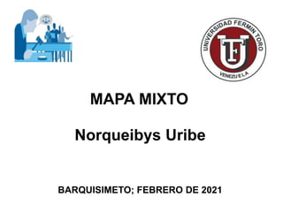 MAPA MIXTO
BARQUISIMETO; FEBRERO DE 2021
Norqueibys Uribe
 