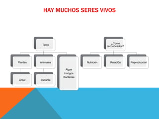 HAY MUCHOS SERES VIVOS
Tipos
Plantas
Árbol
Animales
Elefante
Algas
Hongos
Bacterias
¿Como
reconocerlos?
Nutrición Relación Reproducción
 