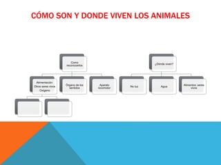 CÓMO SON Y DONDE VIVEN LOS ANIMALES
Como
reconocerlos
Alimentación:
Otros seres vivos
Oxígeno
Órgano de los
sentidos
Aparato
locomotor
¿Dónde viven?
No luz Agua
Alimentos: seres
vivos
 