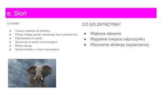CO GO ZATRZYMA?
● Większa siłownia
● Wygodne miejsca odpoczynku
● Wieczorne atrakcje (wydarzenia)
e. Słoń
CO ROBI?
● Ćwiczy i plotkuje na orbitreku
● Pilnuje małego goryla, bawiącego się w piaskownicy
● Odprowadza ze szkoły
● Spaceruje ze swoim czworonogiem
● Niesie zakupy
● Szuka kontaktu z innymi zwierzętami
 