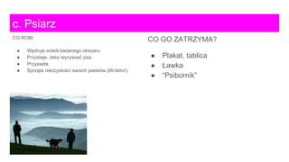 c. Psiarz
CO ROBI
● Wędruje wokół badanego obszaru
● Przystaje, żeby wyczesać psa.
● Przysiada.
● Sprząta nieczystości swoich piesków (80-letni!).
CO GO ZATRZYMA?
● Plakat, tablica
● Ławka
● “Psibornik”
 