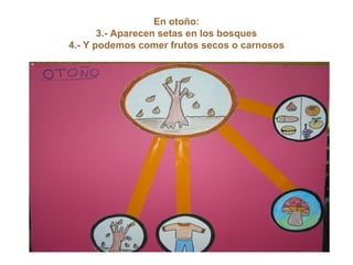 En otoño: 3.- Aparecen setas en los bosques 4.- Y podemos comer frutos secos o carnosos 