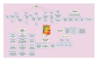 Mapa plan de estudios 2011
