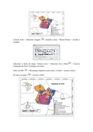 Colocar norte > Adicionar imagem > desenhe a área > Buscar Pastas > escolha a
imagem.
Adicionar o título do mapa. Colocar texto > Adicionar novo rótulo > Escreva
Vegetação do Pará> Configure em Fonte.
Salve em Pdf > > Desmarque Imprimir como raster > Fechar > nomeie e Salve.
Ou salve em jpeg > > nomeie e Salve.
 