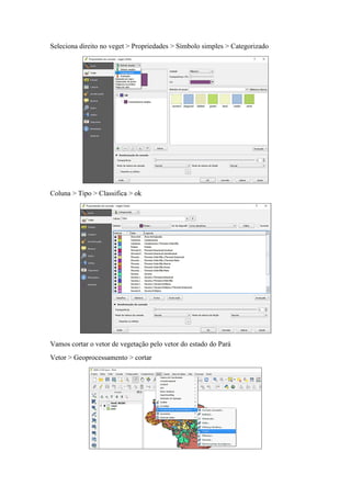 Seleciona direito no veget > Propriedades > Símbolo simples > Categorizado
Coluna > Tipo > Classifica > ok
Vamos cortar o vetor de vegetação pelo vetor do estado do Pará
Vetor > Geoprocessamento > cortar
 