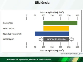 Eficiência
Fonte: AGROFIT / Consulta Aberta / Produtos Formulados / Aba: Bula, Rótulo e Certificado
Elaboração: Ralph Andrade
 