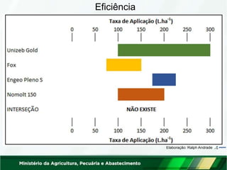 Eficiência
Elaboração: Ralph Andrade
 