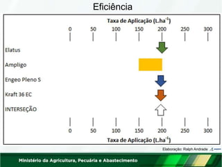 Eficiência
Elaboração: Ralph Andrade
 