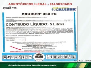 AGROTÓXICOS ILEGAL - FALSIFICADO
Fonte: Tosato - ADAPAR
 