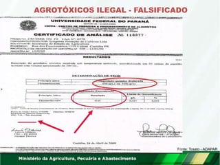 AGROTÓXICOS ILEGAL - FALSIFICADO
Fonte: Tosato - ADAPAR
 