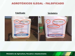 AGROTÓXICOS ILEGAL - FALSIFICADO
Verdadeiro
Falsificado
 