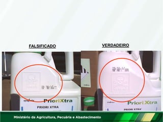 FALSIFICADO VERDADEIRO
 