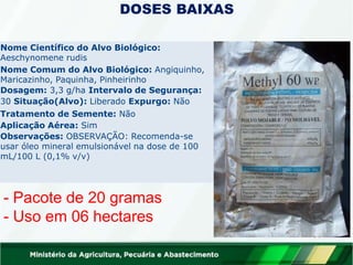 ACCURAT
E
Cultura:
Arroz
Situação(Cultura): Liberad
o
Nome Científico do Alvo Biológico:
Aeschynomene rudis
Nome Comum do Alvo Biológico: Angiquinho,
Maricazinho, Paquinha, Pinheirinho
Dosagem: 3,3 g/ha Intervalo de Segurança:
30 Situação(Alvo): Liberado Expurgo: Não
Tratamento de Semente: Não
Aplicação Aérea: Sim
Observações: OBSERVAÇÃO: Recomenda-se
usar óleo mineral emulsionável na dose de 100
mL/100 L (0,1% v/v)
- Pacote de 20 gramas
- Uso em 06 hectares
DOSES BAIXAS
 
