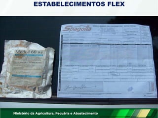 ESTABELECIMENTOS FLEX
 