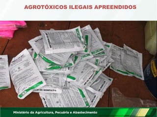 AGROTÓXICOS ILEGAIS APREENDIDOS
 