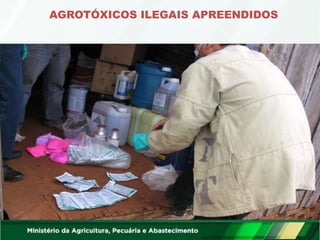 AGROTÓXICOS ILEGAIS APREENDIDOS
 