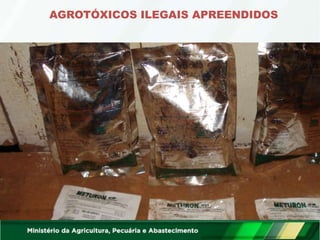 AGROTÓXICOS ILEGAIS APREENDIDOS
 