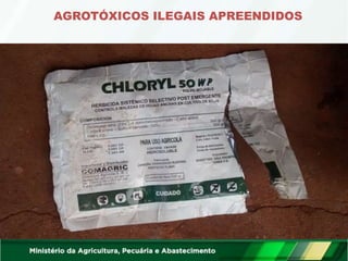 AGROTÓXICOS ILEGAIS APREENDIDOS
 