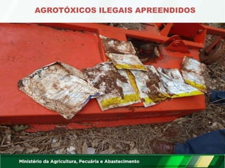 AGROTÓXICOS ILEGAIS APREENDIDOS
 