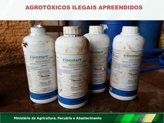 AGROTÓXICOS ILEGAIS APREENDIDOS
 