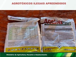AGROTÓXICOS ILEGAIS APREENDIDOS
 