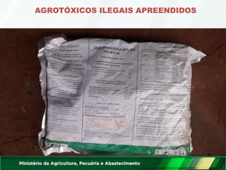 AGROTÓXICOS ILEGAIS APREENDIDOS
 