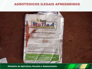 AGROTÓXICOS ILEGAIS APREENDIDOS
 