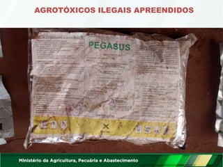 AGROTÓXICOS ILEGAIS APREENDIDOS
 