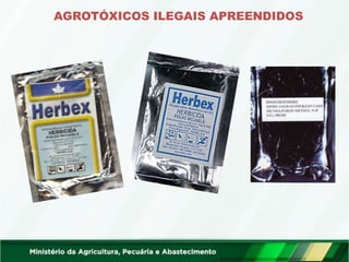 AGROTÓXICOS ILEGAIS APREENDIDOS
 