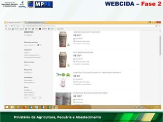 WEBCIDA – Fase 2
 