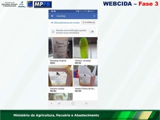 WEBCIDA – Fase 3
 